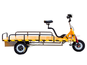 Платформенная электрическая тележка RuTrike ТАКСА ВАЙД - Фото 1