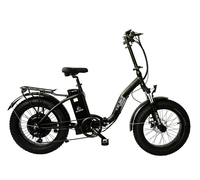 Elbike Taiga 1 Elite (Черный)