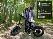 Электрофэтбайк Elbike Taiga 3 Twix (Синий) - Фото 10