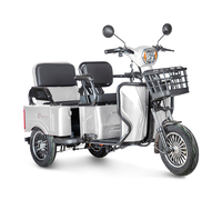 Gelbert Tuban 48V/60V 600Вт (белый)